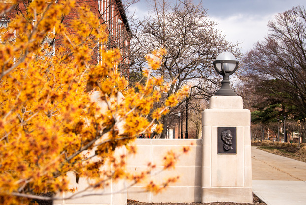 Fell gates on the Quad