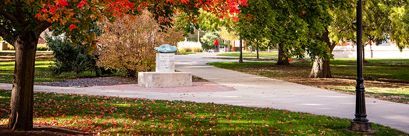 The quad in fall.