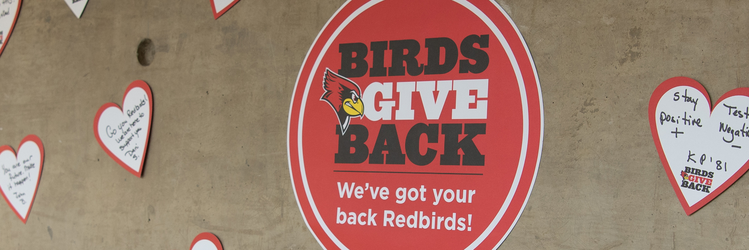 Reggie Redbird stands in front of a background that reads 'Birds Give Back'.